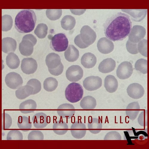 O Laboratrio na LLC
