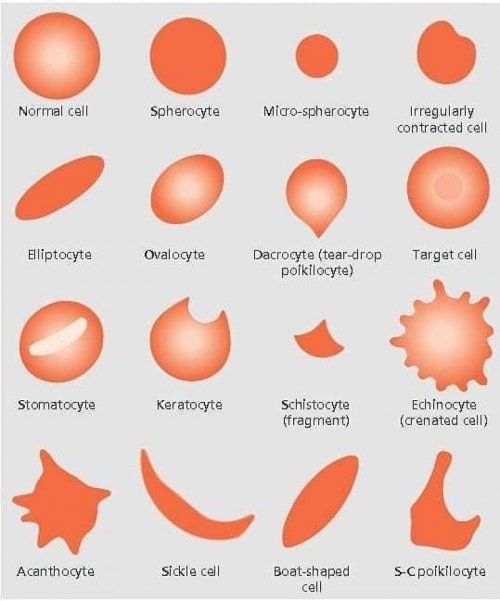Alteraes de Srie Vermelha