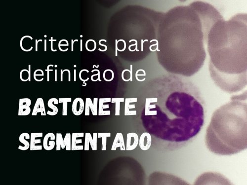 Bastonete ou Segmentado. O Dilema da Morfologia Celular Que Divide Opinies.